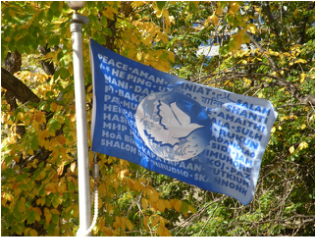 photo of flying peace flag